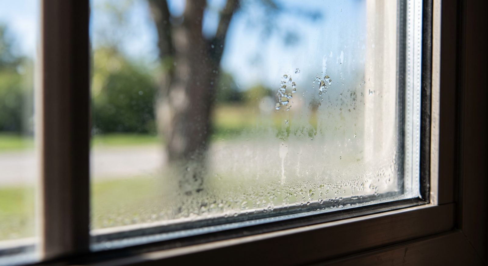 Close-up photo of a double-pane window showing visible fogging and cloudy condensation trapped between the glass panes, daylight, realistic detail